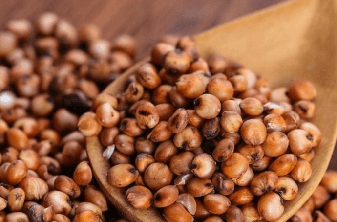 Sorgo